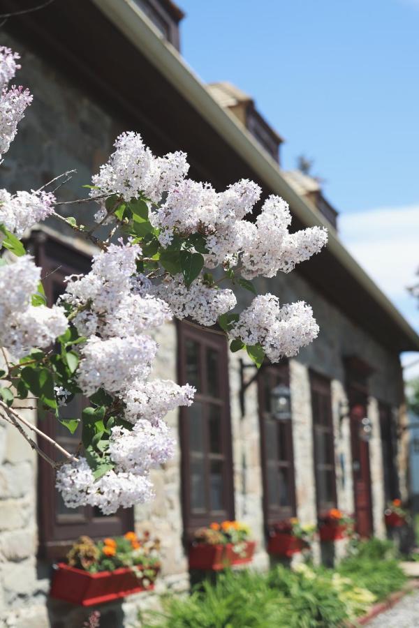 Domaine Steinbach Cidrerie B&B Distillerie St-Pierre-de-l'Île-d'Orléans Exteriör bild